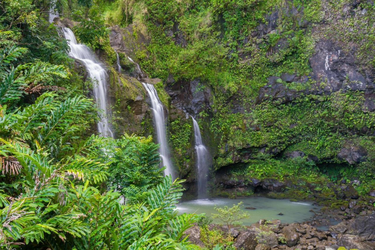 Kaleialoha 213 Villa Lahaina Esterno foto